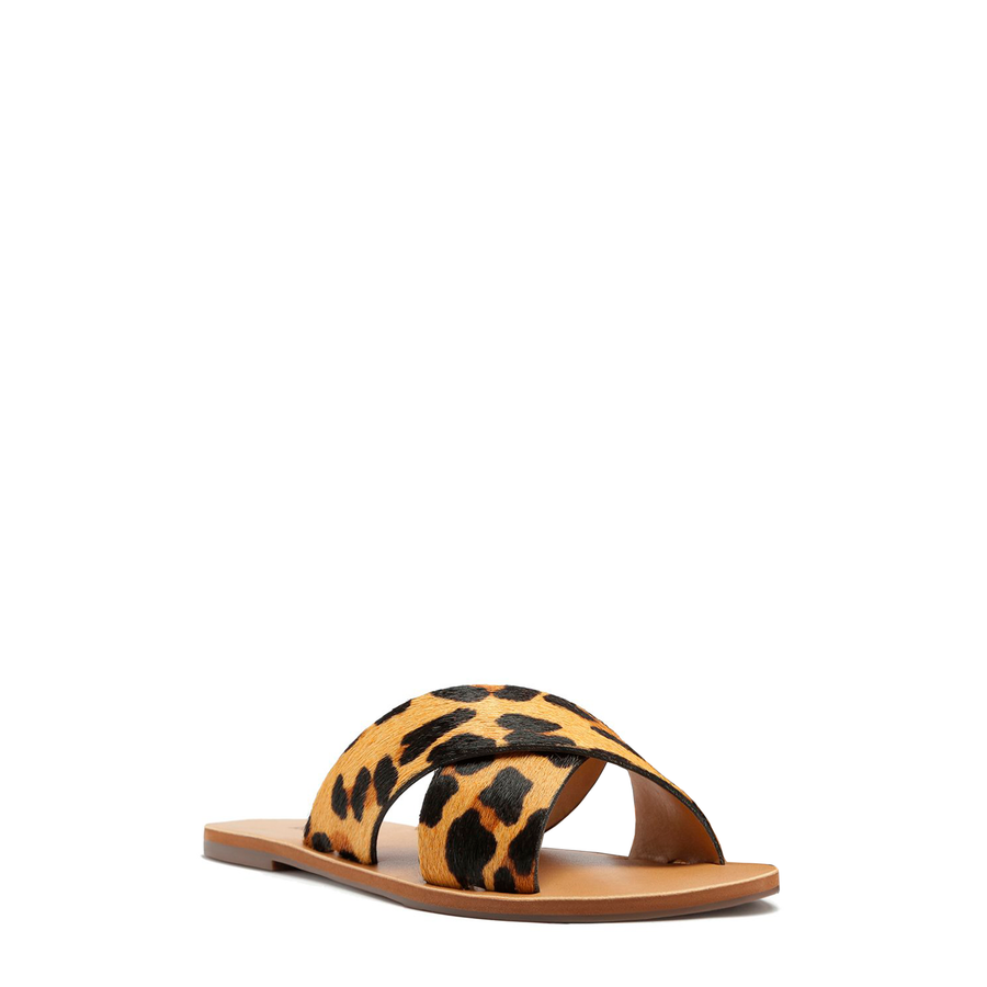 RASTEIRA ANIMALE LEOPARD